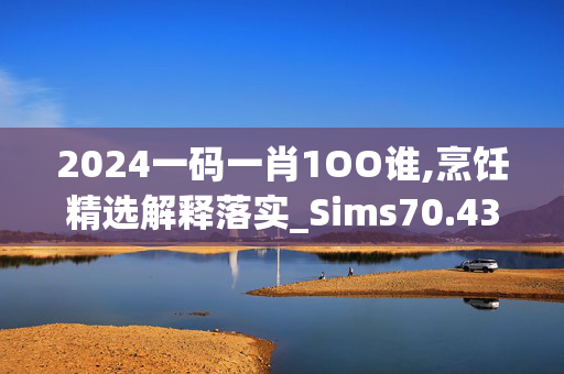 2024一码一肖1OO谁,烹饪精选解释落实_Sims70.43.91