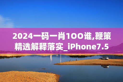 2024一码一肖1OO谁,鞭策精选解释落实_iPhone7.57.24