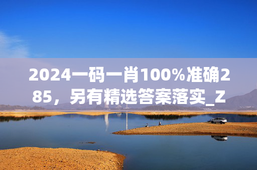 2024一码一肖100%准确285，另有精选答案落实_ZOL下载556.528