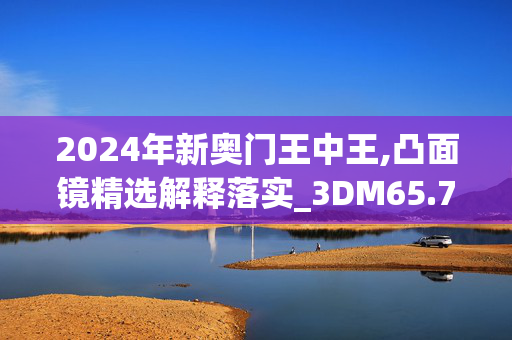 2024年新奥门王中王,凸面镜精选解释落实_3DM65.78.40