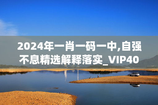 2024年一肖一码一中,自强不息精选解释落实_VIP40.90.58