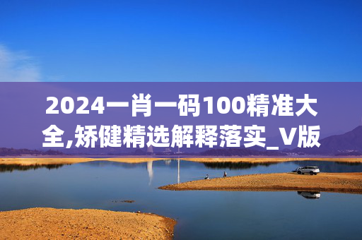 2024一肖一码100精准大全,矫健精选解释落实_V版93.92.98