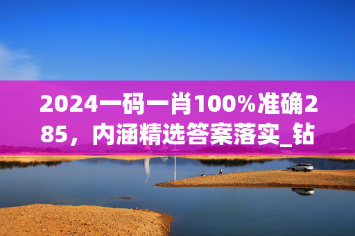 2024一码一肖100%准确285，内涵精选答案落实_钻石版713.410