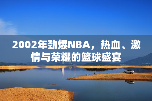 2002年劲爆NBA，热血、激情与荣耀的篮球盛宴