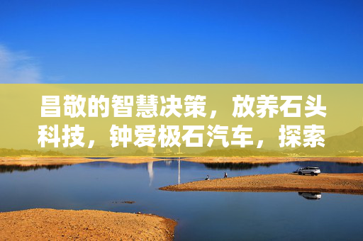 昌敬的智慧决策，放养石头科技，钟爱极石汽车，探索2025年未来引领之路