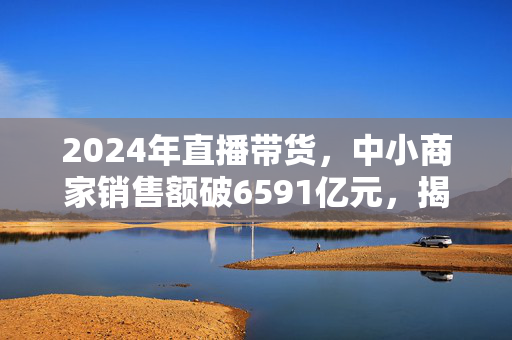 2024年直播带货，中小商家销售额破6591亿元，揭示巨大潜力与未来展望