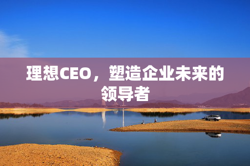 理想CEO，塑造企业未来的领导者