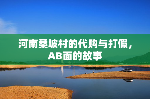 河南桑坡村的代购与打假，AB面的故事