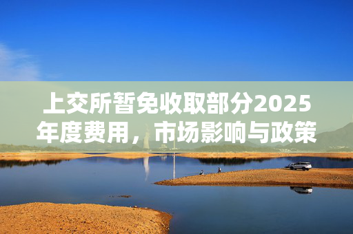 上交所暂免收取部分2025年度费用，市场影响与政策解读