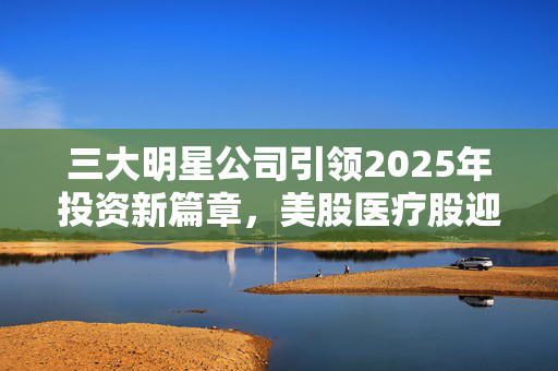 三大明星公司引领2025年投资新篇章，美股医疗股迎来反弹契机