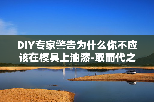 DIY专家警告为什么你不应该在模具上油漆-取而代之的是什么