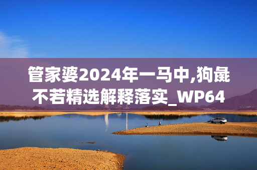 管家婆2024年一马中,狗彘不若精选解释落实_WP64.64.65