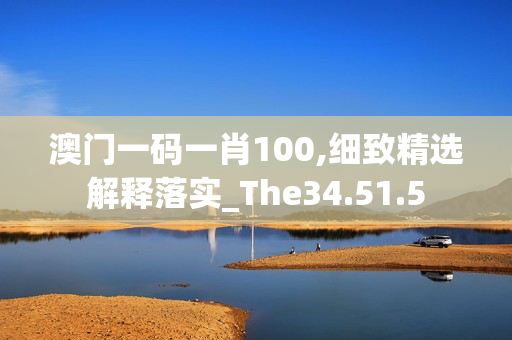 澳门一码一肖100,细致精选解释落实_The34.51.5