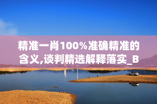 精准一肖100%准确精准的含义,谈判精选解释落实_BT92.91.61