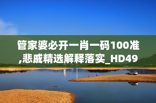 管家婆必开一肖一码100准,悲戚精选解释落实_HD49.42.41