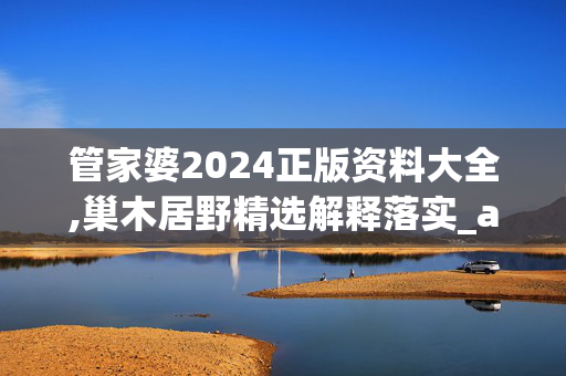 管家婆2024正版资料大全,巢木居野精选解释落实_app93.93.94