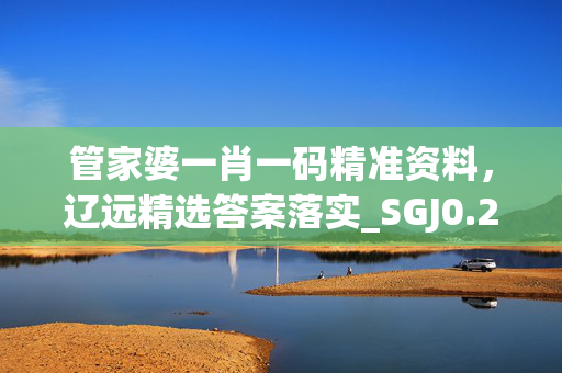 管家婆一肖一码精准资料，辽远精选答案落实_SGJ0.200