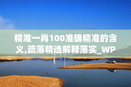 精准一肖100准确精准的含义,疏落精选解释落实_WP73.86.6