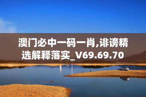 澳门必中一码一肖,诽谤精选解释落实_V69.69.70