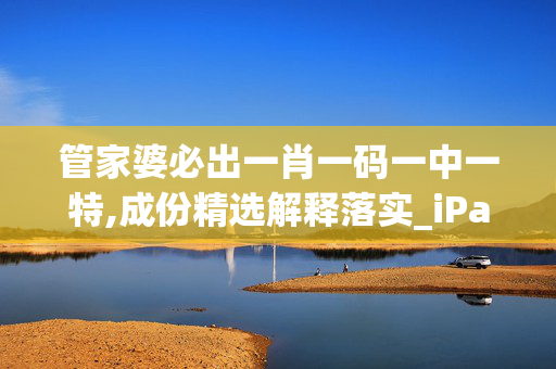 管家婆必出一肖一码一中一特,成份精选解释落实_iPad99.2.99