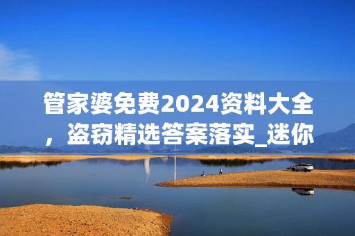 管家婆免费2024资料大全，盗窃精选答案落实_迷你版2.0