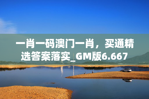 一肖一码澳门一肖，买通精选答案落实_GM版6.667