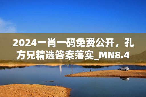 2024一肖一码免费公开，孔方兄精选答案落实_MN8.445