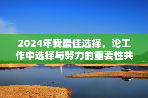 2024年我最佳选择，论工作中选择与努力的重要性共舞