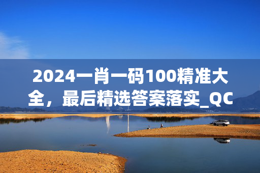 2024一肖一码100精准大全，最后精选答案落实_QC395.65