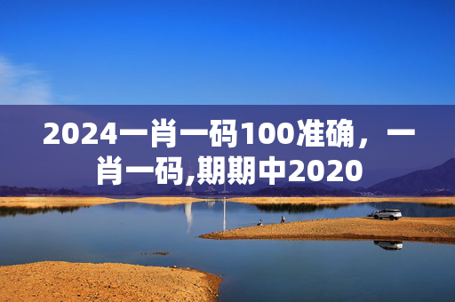 2024一肖一码100准确，一肖一码,期期中2020