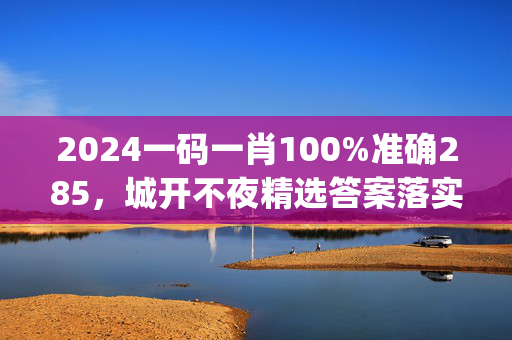 2024一码一肖100%准确285，城开不夜精选答案落实_关怀版101.560