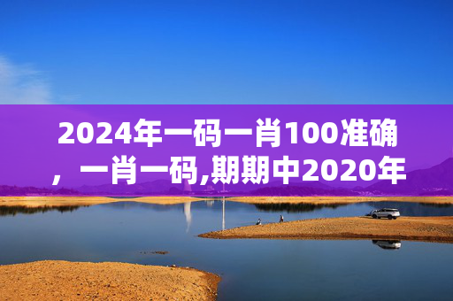 2024年一码一肖100准确，一肖一码,期期中2020年