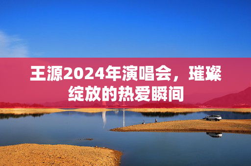 王源2024年演唱会，璀璨绽放的热爱瞬间