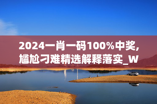 2024一肖一码100%中奖,尴尬刁难精选解释落实_WP88.64.13