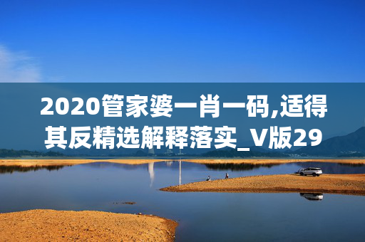 2020管家婆一肖一码,适得其反精选解释落实_V版29.60.29