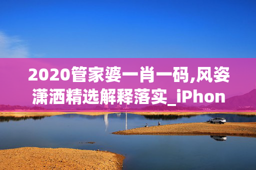 2020管家婆一肖一码,风姿潇洒精选解释落实_iPhone91.73.65