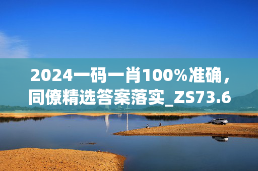 2024一码一肖100%准确，同僚精选答案落实_ZS73.6