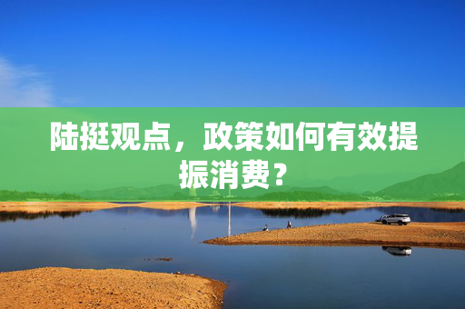 陆挺观点，政策如何有效提振消费？