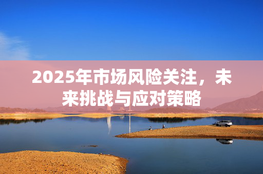 2025年市场风险关注，未来挑战与应对策略