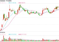 中芯国际联席CEO赵海军：单价提升大致抵消出货下降、折旧上升对毛利率的影响