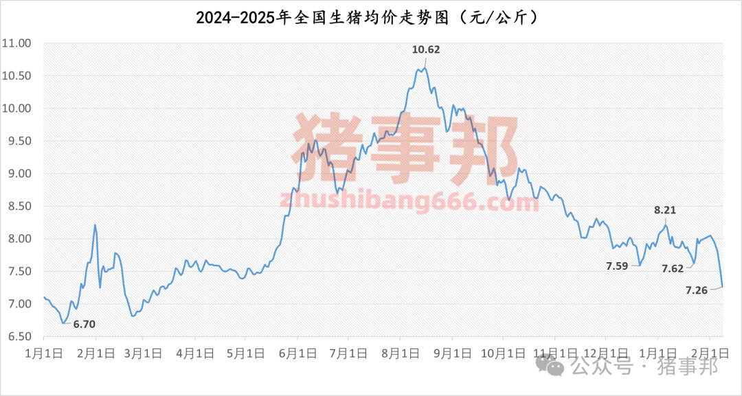 2月8日猪价汇总（继续普跌，局地见“6”！）