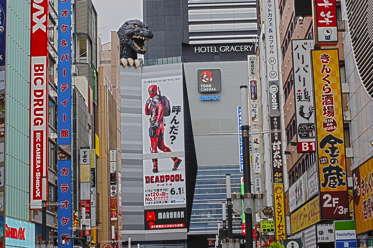 日本石川县，中国人眼中的街道与道路损坏现象探究