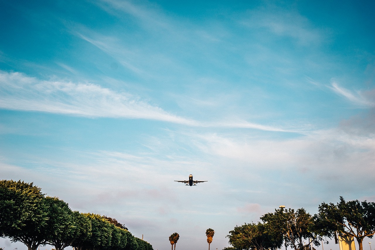 iBio的辉煌之旅，新篇章再添光彩