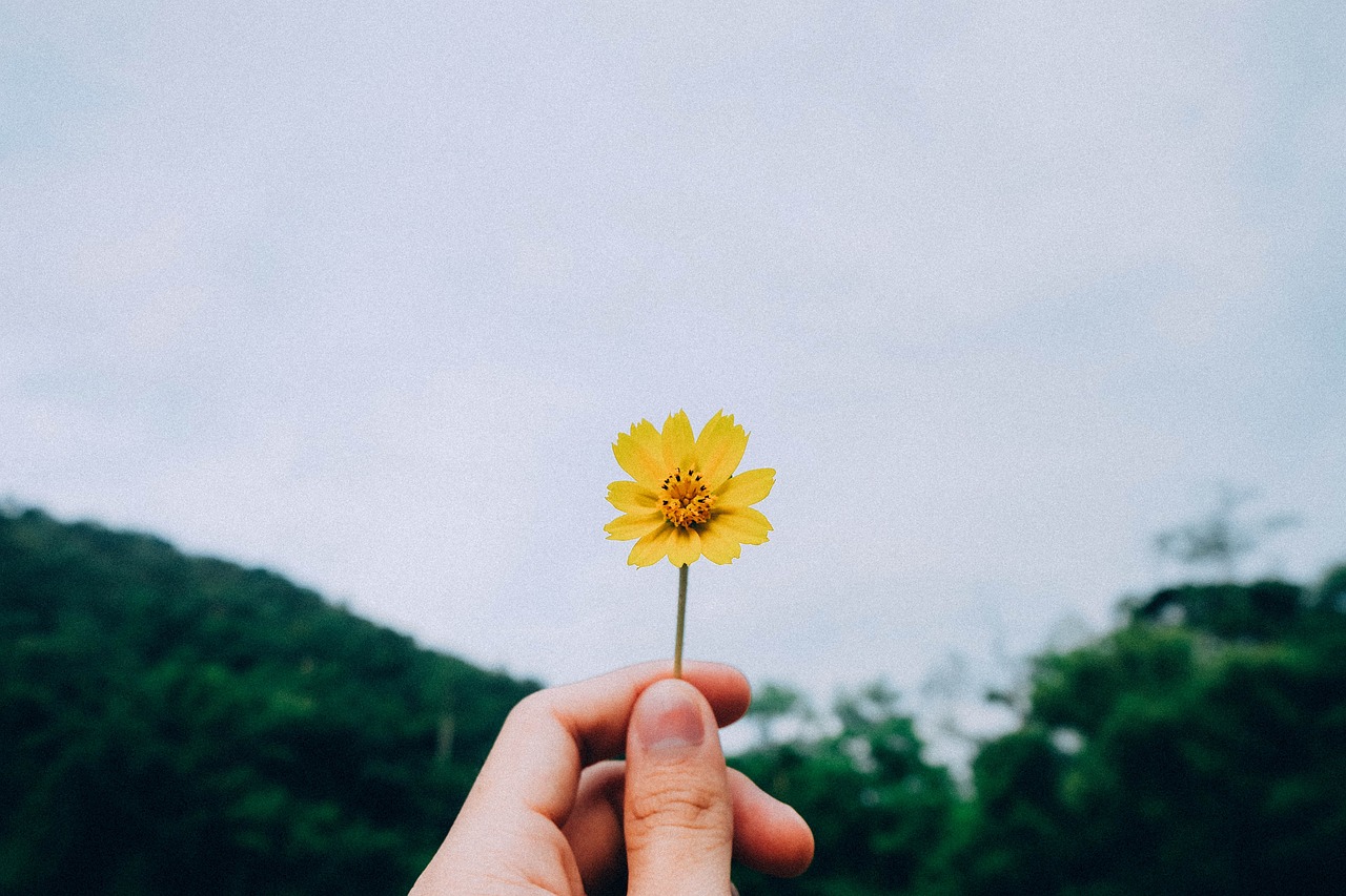 一月三日午后的时光点滴记录